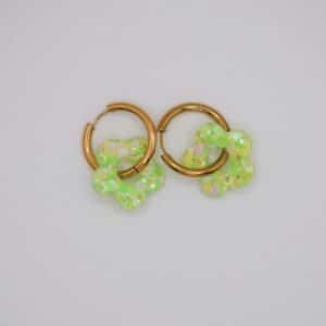 Créoles Oia - Aquamoss